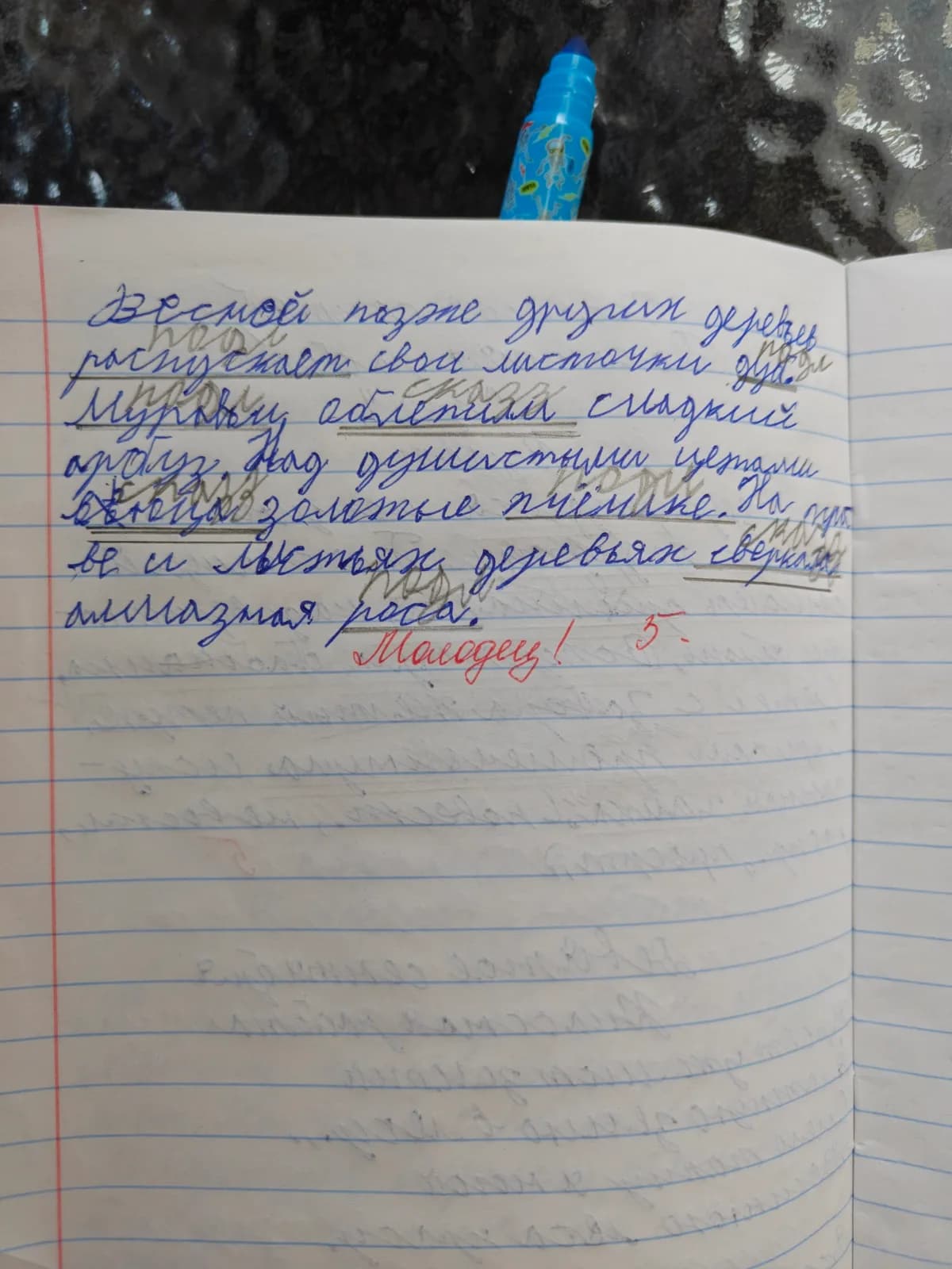 Тетрадь по русскому после интенсива: ровные строки, оценка «Молодец, 5»
